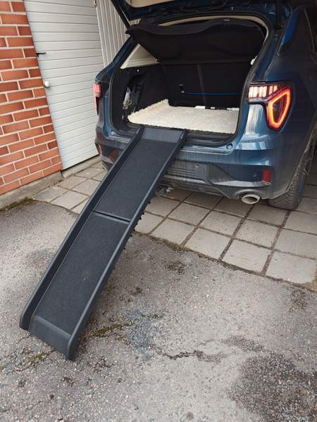 Nousuramppi lemmikille. Lahti - valokuva 2