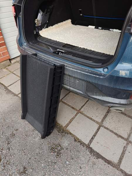 Nousuramppi lemmikille. Lahti - valokuva 3