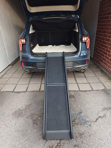 Nousuramppi lemmikille. Lahti - valokuva 1