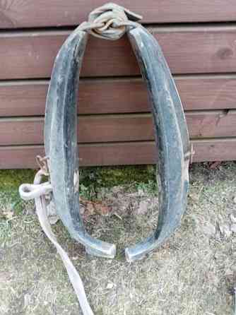 Hevosen länget Jokioinen