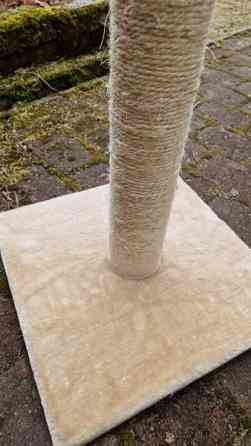 Kissan raapimistolppa Vantaa