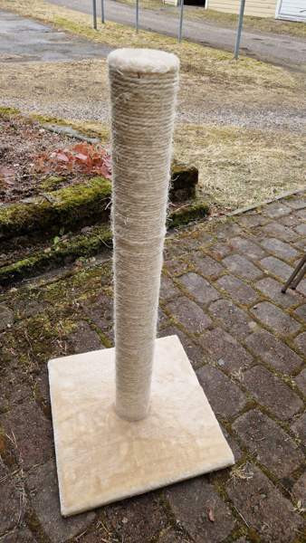 Kissan raapimistolppa Vantaa - valokuva 2