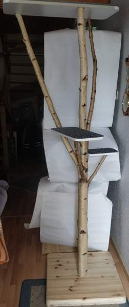 Kiipeilypuu Kouvola - photo 1