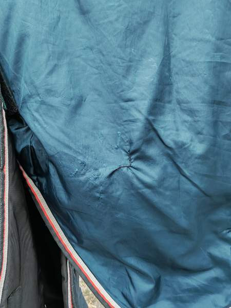 165cm Horseware Rambo toppaloimi Tampere - valokuva 5