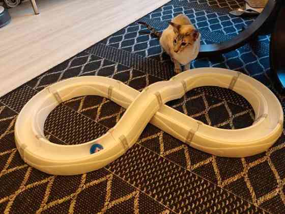 Ferplast flashlight -leikkirata kissoille Lohja