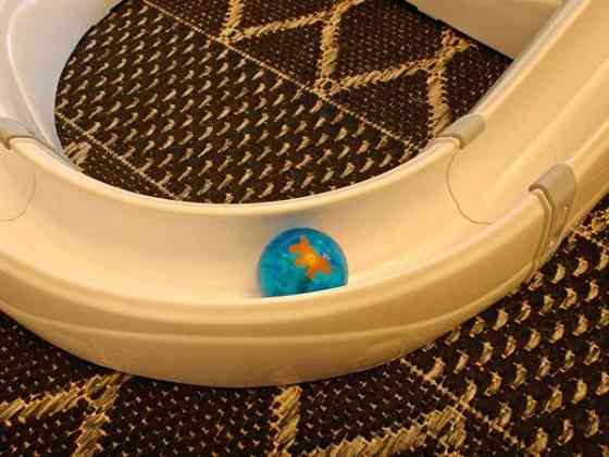 Ferplast flashlight -leikkirata kissoille Lohja