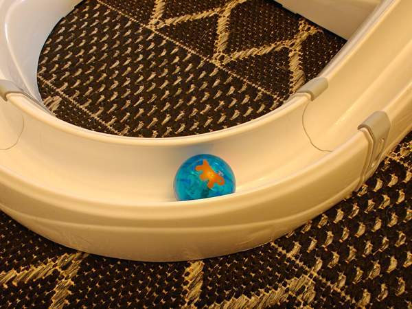 Ferplast flashlight -leikkirata kissoille Lohja – foto 3