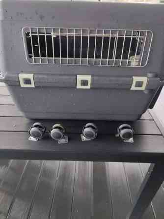 Koiran kuljetuslaatikko/lentoboxi Turku