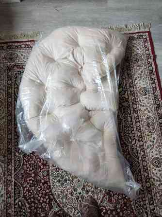 Koiran pesäpeti Helsinki