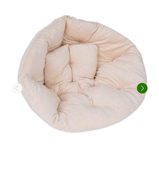 Koiran pesäpeti Helsinki – foto 2