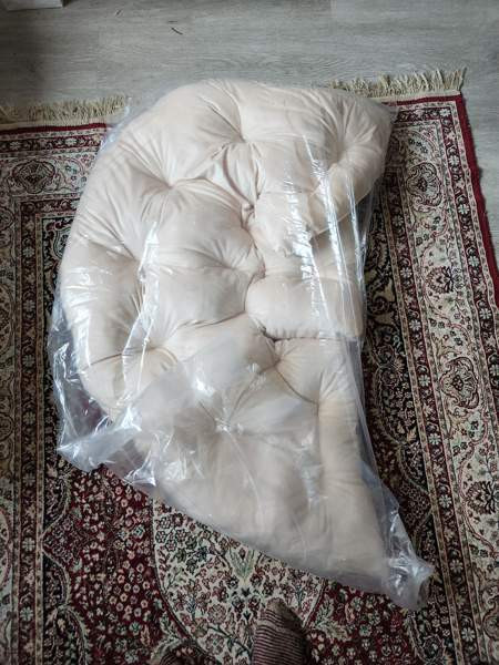 Koiran pesäpeti Helsinki – foto 1