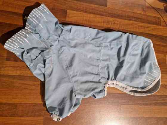 Koiran  sadehaalari Oulu