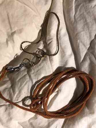 Näyttelypanta ja hihna Эспоо