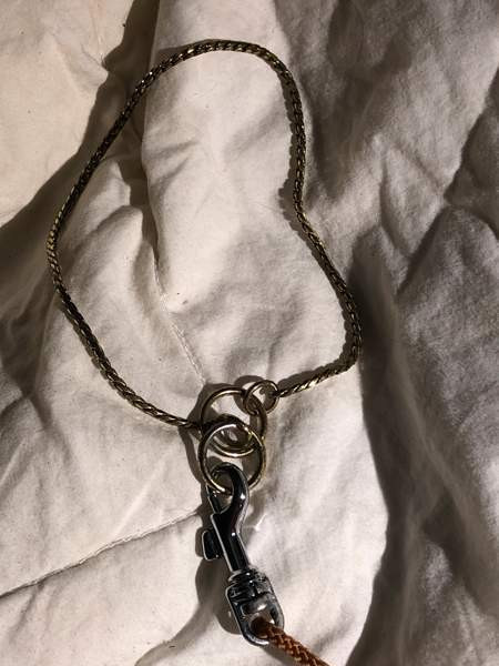 Näyttelypanta ja hihna Espoo - valokuva 2