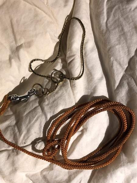 Näyttelypanta ja hihna Espoo - valokuva 1