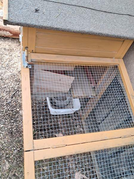 Kanin häkki Хювинкяя - изображение 2