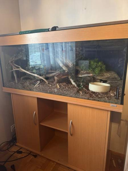 Viljakäärme ja terraario Varkaus - photo 2