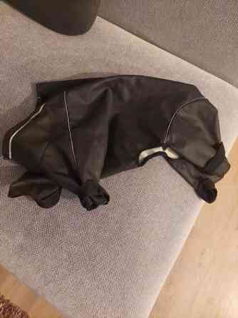 Koiran kurahaalari 38 Kuopio