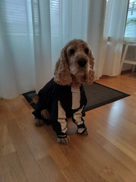 Kurahaalari Tampere - valokuva 1