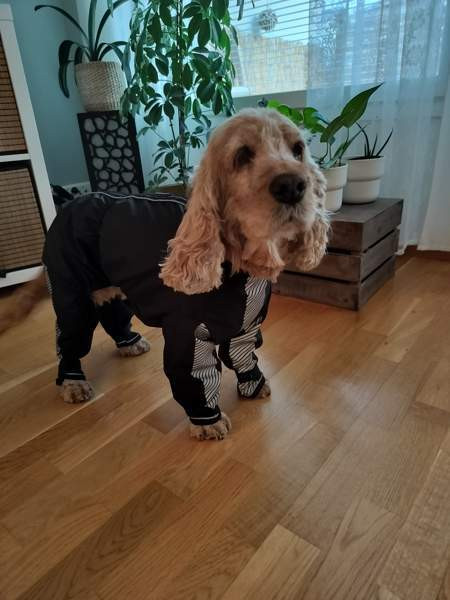 Kurahaalari Tampere - valokuva 2