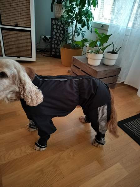 Kurahaalari Tampere - valokuva 3