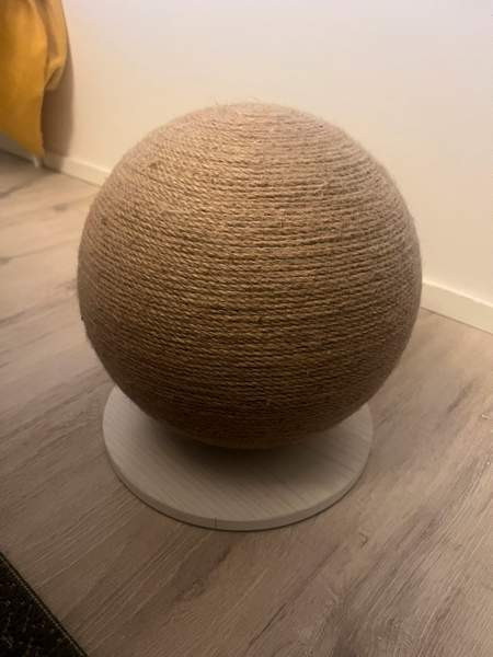 Kissojen raapimispallo Vantaa - valokuva 2