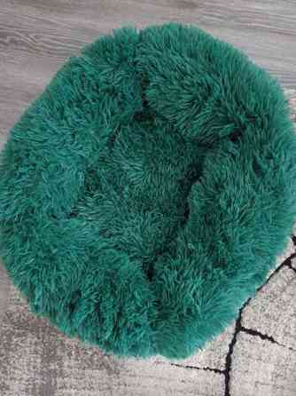 Koiranpeti Savonlinna