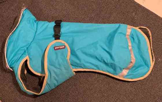 Paddy pomppa koko 41 Kangasala