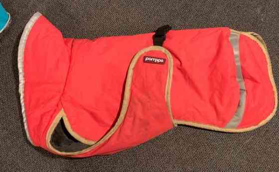 Paddy pomppa 37 Kangasala