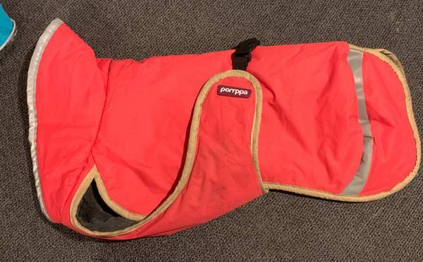 Paddy pomppa 37 Кангасала - изображение 1