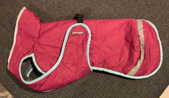 Paddy Pomppa 37 Kangasala