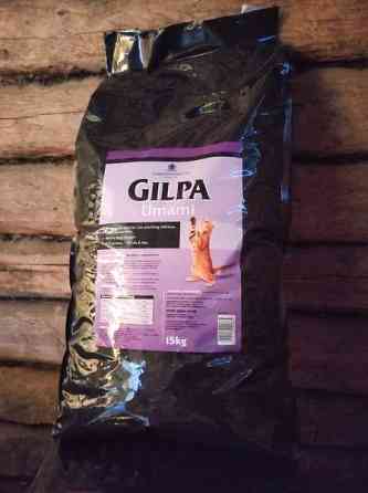 ? Gilpa Umami kissanruoka 15kg ? Vantaa