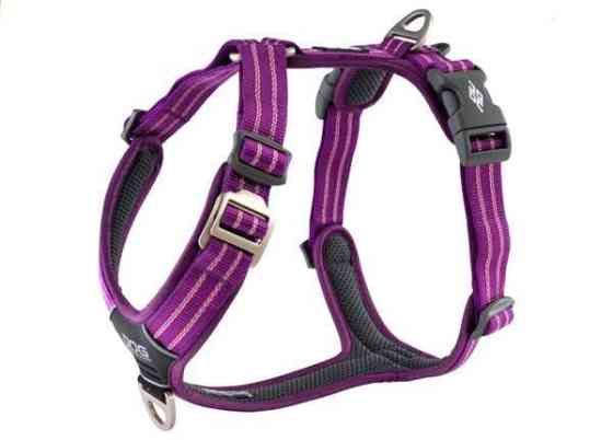 Dog Copenhagen Comfort Walk Air valjaat M Вантаа