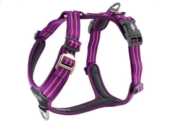 Dog Copenhagen Comfort Walk Air valjaat M Vantaa - valokuva 1