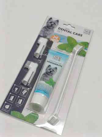 Koiran hammashoitosetti Eura