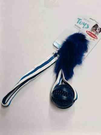 Koiranlelu Best Friend Boost pallo Eura