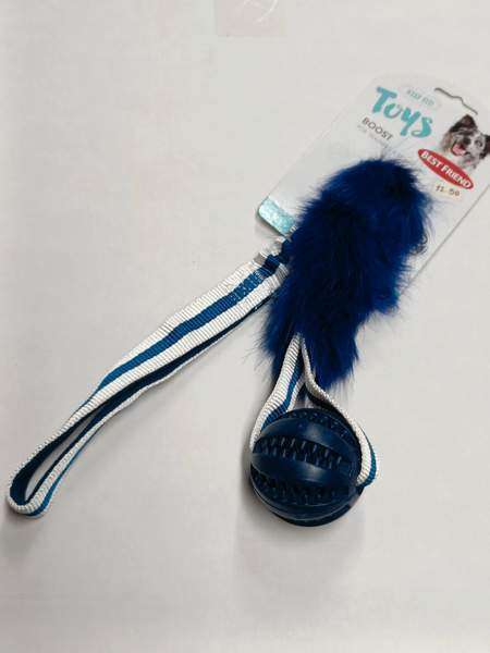 Koiranlelu Best Friend Boost pallo Eura - valokuva 1