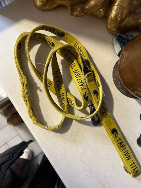 Kiroileva siili-hihna Pälkäne - valokuva 1