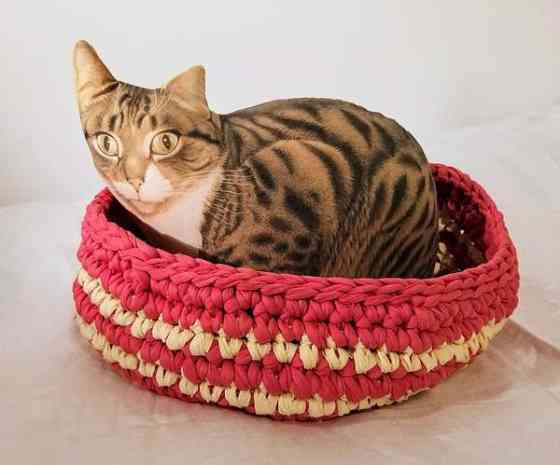 Kissan kori 2. Vantaa