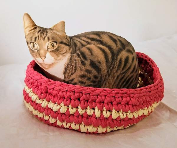 Kissan kori 2. Vantaa – foto 1