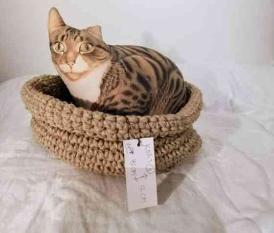 Kissan kori vihreä Vantaa