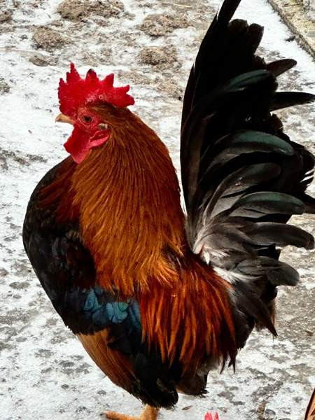 Kanapari Lohja - photo 2