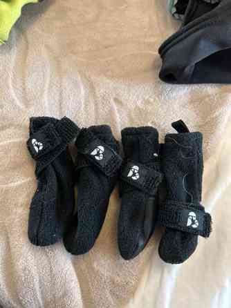 Koiran tossut Вантаа