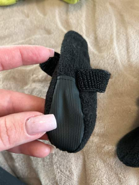 Koiran tossut Vantaa - valokuva 3