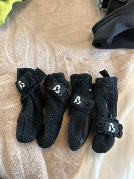 Koiran tossut Vantaa - valokuva 1