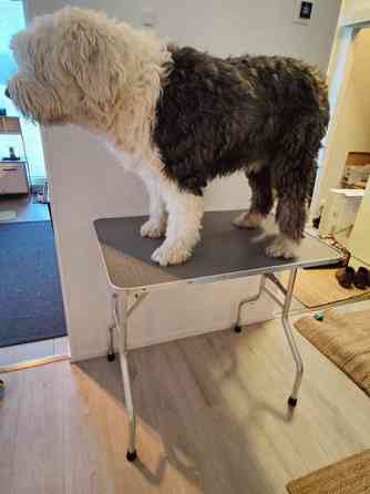 Trimmauspöytä Maentsaelae