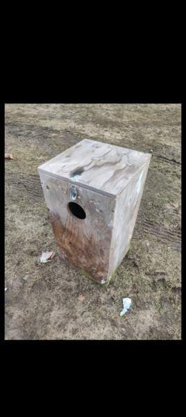 Kaunis Telkänpönttö Kitee - photo 2