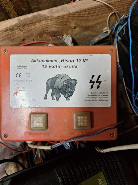 Akkupaimen Kangasala - valokuva 3