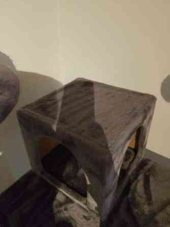 Kissan raapimapuu VARATTU Lahti