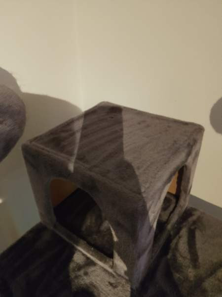 Kissan raapimapuu VARATTU Lahti - photo 3